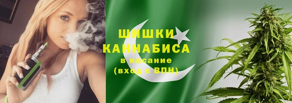 таблы Гусев