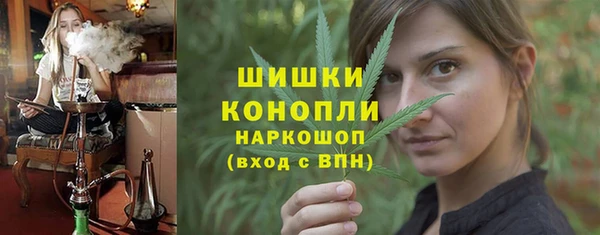 таблы Гусев