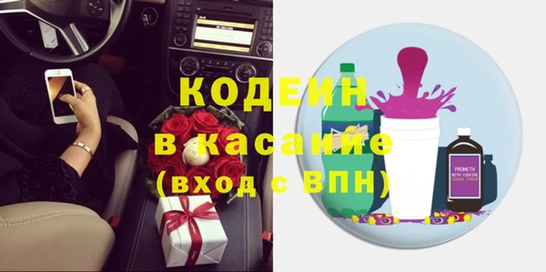 эйфоретик Гусь-Хрустальный