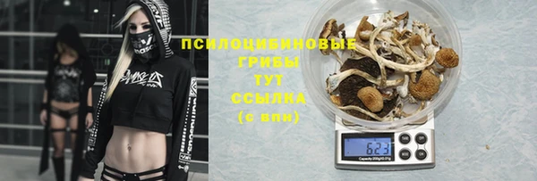 ALPHA-PVP Гусиноозёрск