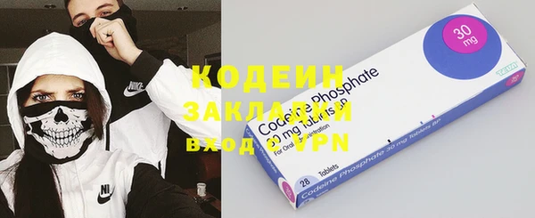 эйфоретик Гусь-Хрустальный