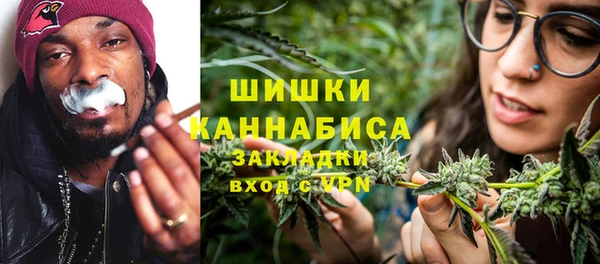 таблы Гусев