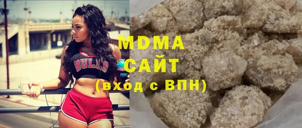 эйфоретик Гусь-Хрустальный