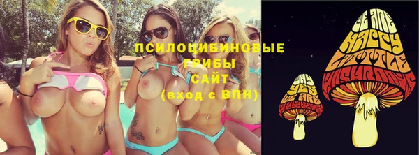 эйфоретик Гусь-Хрустальный