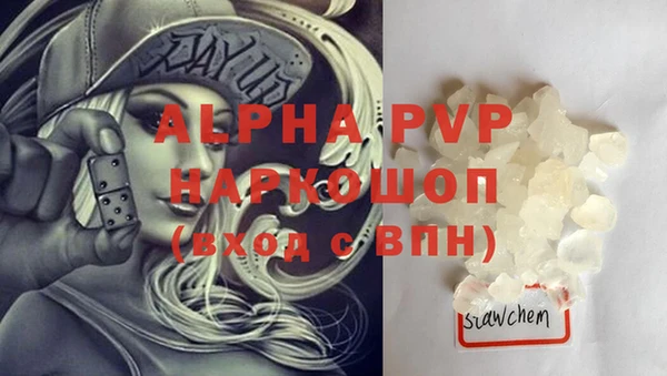 эйфоретик Гусь-Хрустальный