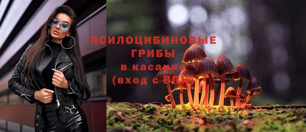 эйфоретик Гусь-Хрустальный