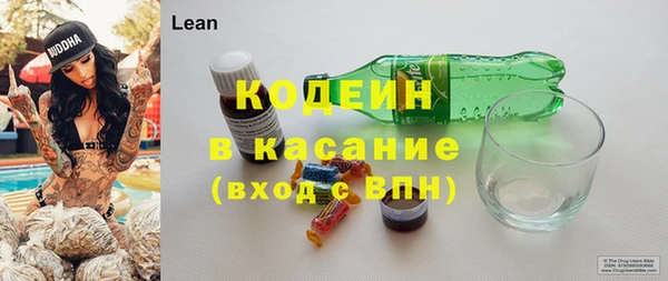 эйфоретик Гусь-Хрустальный