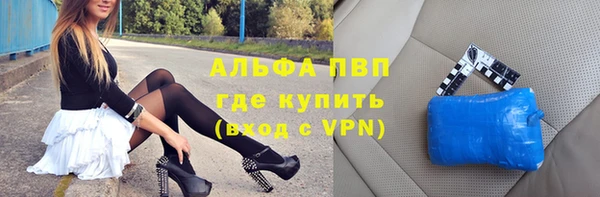 таблы Гусев