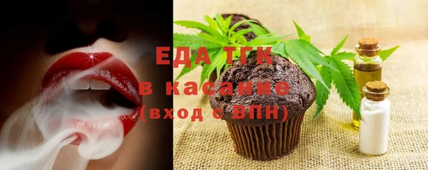 эйфоретик Гусь-Хрустальный